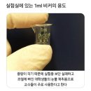 일마일 PC방 | 삶은 계란이야 너무 팍팍해 🥚