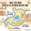 365아이스 | 아기 유산균 비교(드시모네, PH365, 바이오가이아) 및 드시모네 베이비스텝 1단계 내돈내산 후기