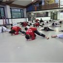 한국체대 영우태권도 이미지