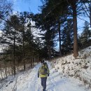 성철목장 | 선자령 등산