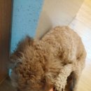 천둥소리 이미지