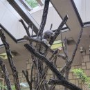 도시인 | 나고야 여행 후기 히가시야마 동물원과 나고야 최고 뷰 전망대 스카이 프롬나드