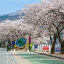 레일바이크공원강변 스포츠동아