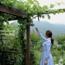 내 마음의 힐링 프랑스자수 이미지