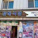 독천로 | [내돈내산] 독천 청하식당, 전라도 낙지 요리의 진수