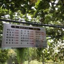 천지식당 이미지