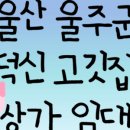 덕신1번가공인중개사사무소 이미지