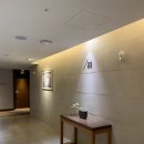 롯데시티호텔명동 이미지