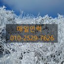 매일인력용역 이미지