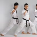 단국대 나래태권도 이미지