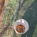 순천왕운초등학교 | 순천 왕운초등학교 모래소독 과정