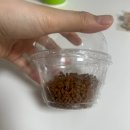 마이요거트립 우장산점 이미지