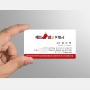 레드망고여행사 이미지
