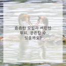 신비헤어 이미지