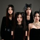 위치스데이 스타데일리뉴스 