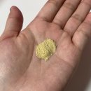 대원헬스 | 대원헬스 블락킹 노팔선인장 후기