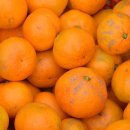 은찬4호 이미지