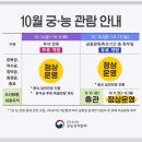 연화유치원 | 창경궁 야간개장 물빛연화 후기 주차