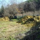 박병일농장 이미지