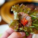 신라갈비 네이버블로그