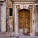 꿈이 자라는 나무 이미지