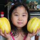 배한농장 이미지