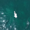 돌고래공인중개사사무소 이미지