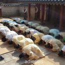 도산서원관리사무소 이미지