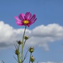 대저생태공원 이미지