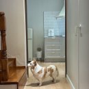 전주한옥마을너울가지 | 전주 한옥마을 반려동물 동반 독채 감성 숙소 '하율스테이' 내돈내산 솔직후기 / 대형견 가능