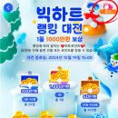 빅라이트