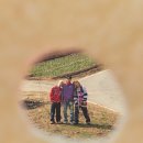 식구 카카오 검색결과