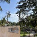 힐링요가(8시) | [다낭/호이안] 힐링 감성 여행 코스 옴데이 요가클래스 후기