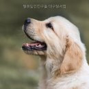 털로덮인친구들달서점