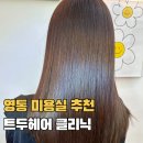 신데렐라 | 수원 영통미용실 트두헤어 매탄동미용실 신데렐라 클리닉 후기