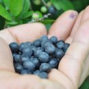 삼동농장 이미지