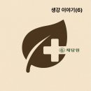 채담원