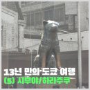 13년 만의 도쿄 여행 Day5 (시부야, 하라주쿠, 아키하바라)