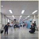 강철태권도 이미지