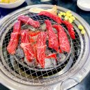 영천축산농협 한우프라자 이미지