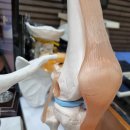 배한의원 이미지