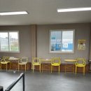 댕댕이 운동장 이미지