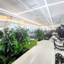 아이리스 짐 이미지