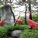 농업기술센터앞 이미지