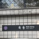 W24. 웨딩촬영 준비 (베일즈, 블랙 드레스)