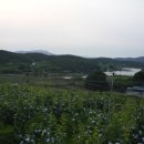 한마음농장 이미지