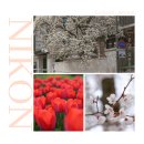 율곡로 | 입문용 미러리스 카메라 추천 이유 니콘 Z5II 실사용 리뷰