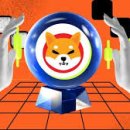 하나이누 이미지