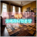 케이나인종합동물병원 | 파주 포메라니안분양 반려동물과의 새로운 라이프스타일을 열다