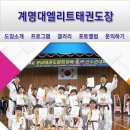 계명대엘리트태권도장 이미지